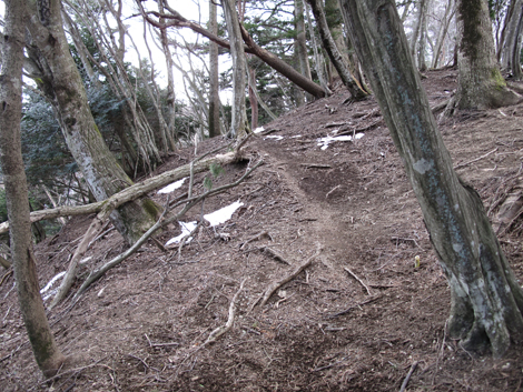 20170113hike (163)